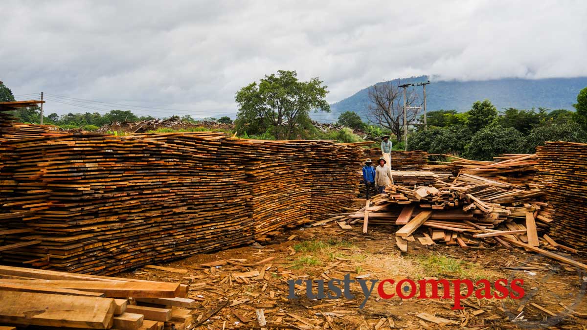 Vietnamese timber yard in the middle of Laos.