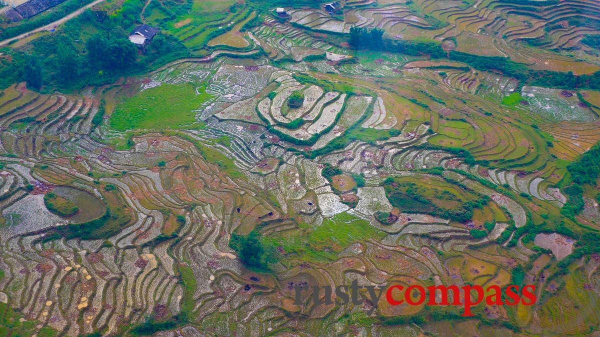 Rice terraces from the cable car