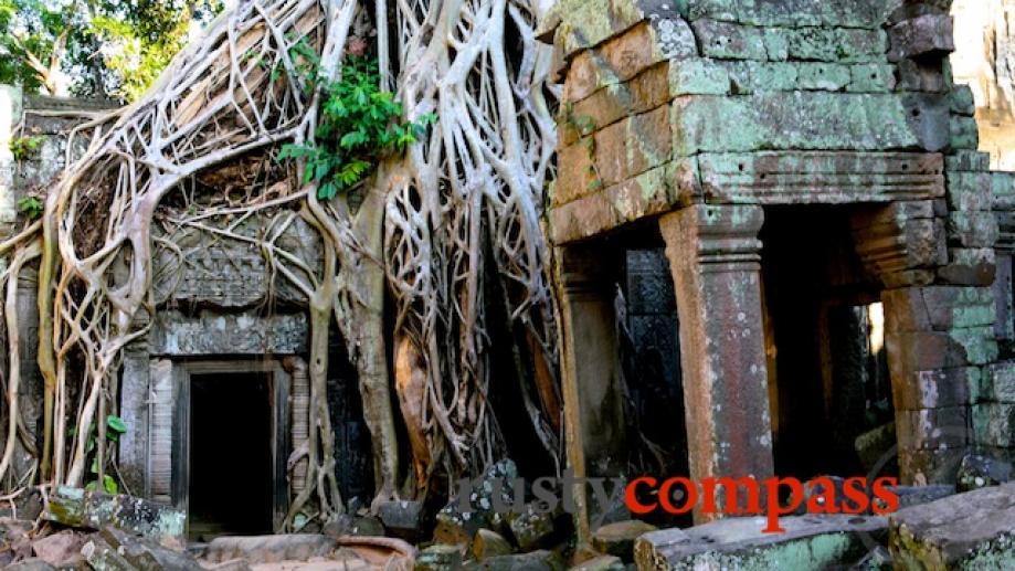 Yes, it was Ta Prohm that enjoyed a momentary Angelina Jolie...