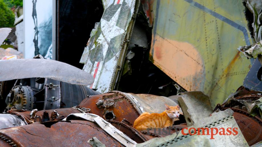 A cat relaxes amidst the B52 wreckage.