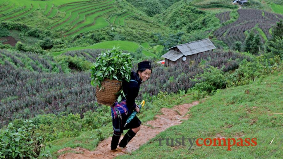 We followed this Black Hmong woman off the road down...