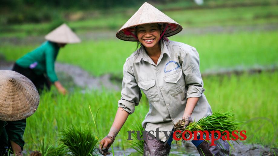 A smile from the rice paddy - outside Sapa.