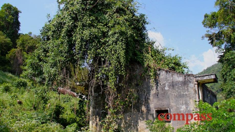 The enmeshment of some of Kep's ruins with trees is...