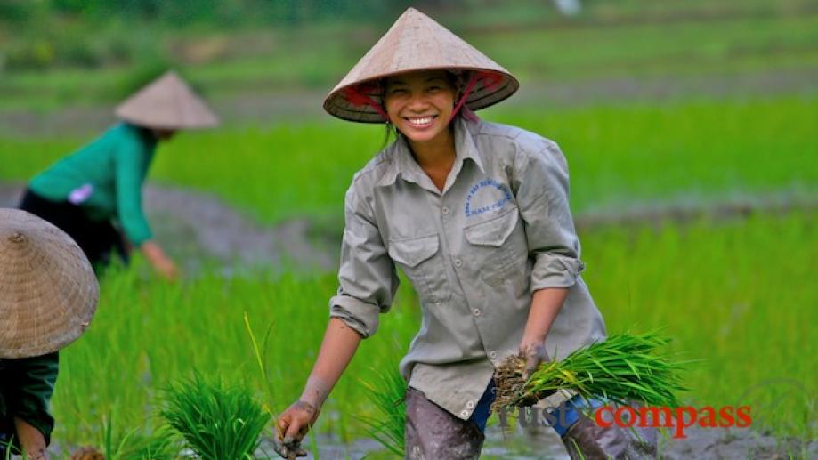 Throughout Vietnam, women seem to be charged with doing much...
