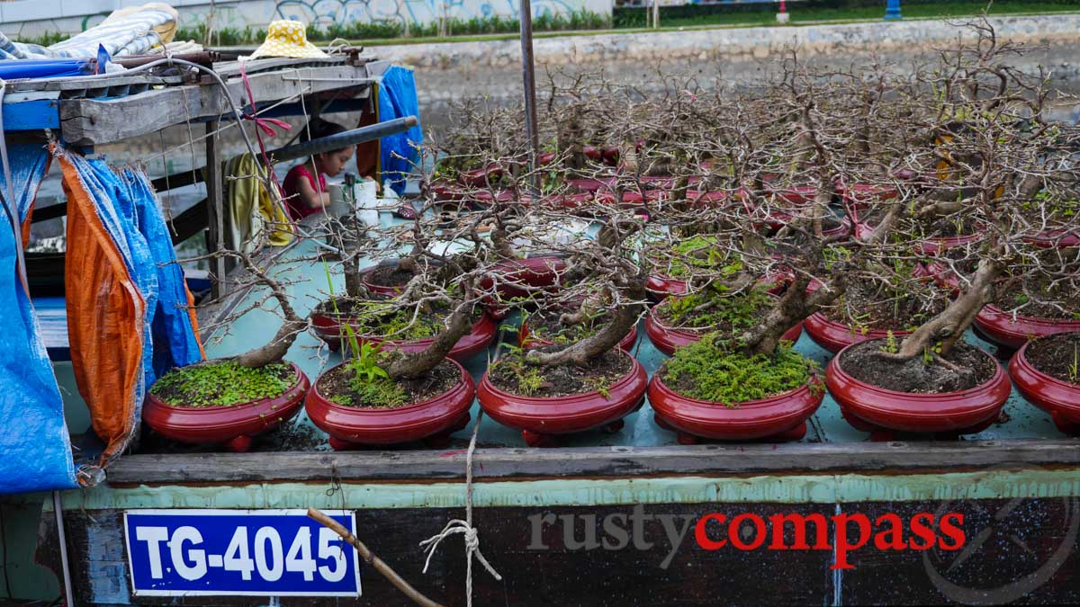 Ben Binh Dong Tet flower market, Saigon