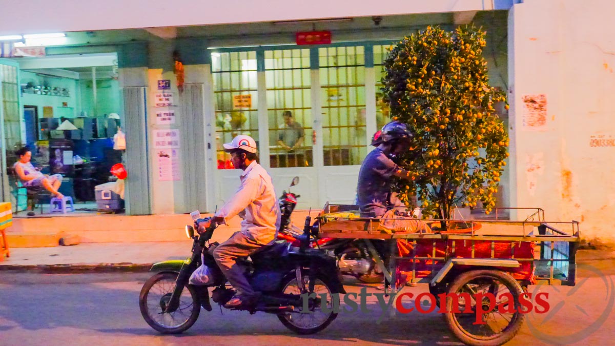 Ben Binh Dong Tet flower market, Saigon