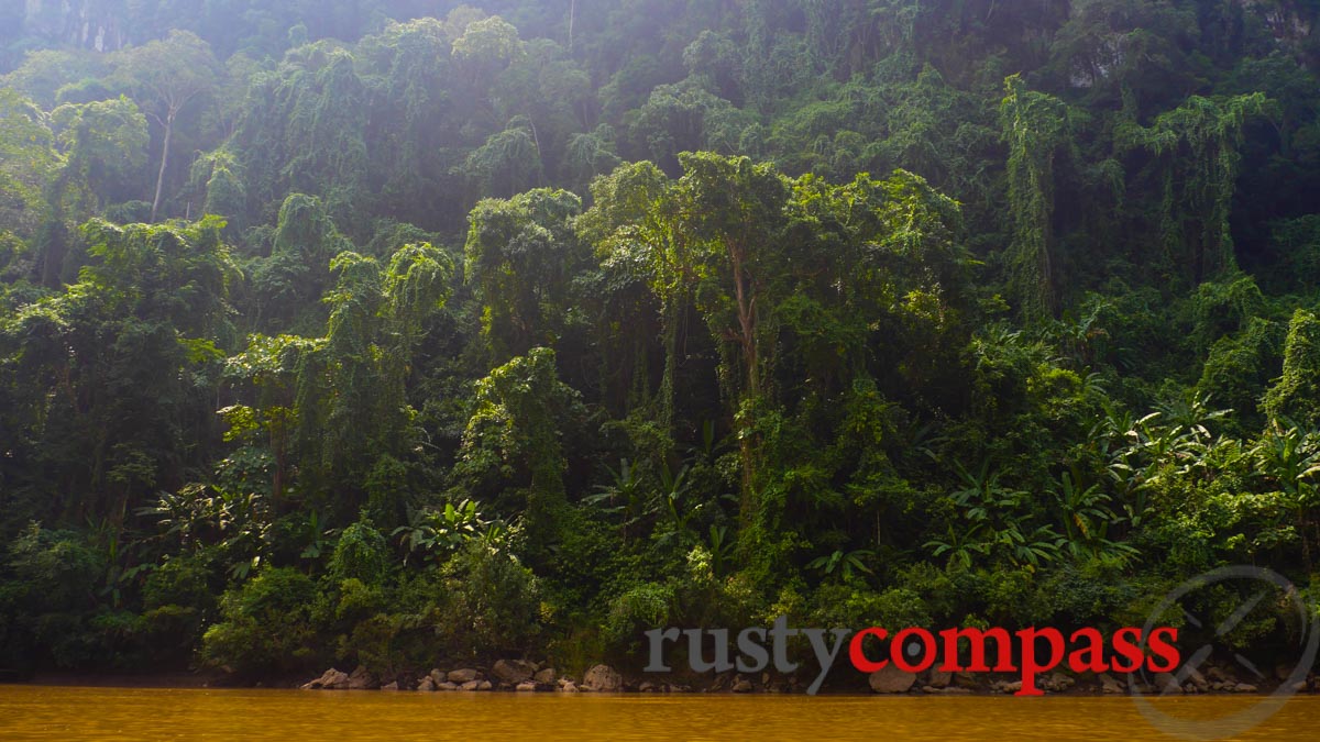 Dense forest, Nam Ou River, Laos