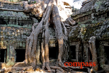 Angkor Wat,Cambodia,Ta Prohm,temples