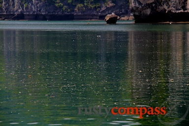 images/rustycompass/VIETNAM/HALONGBAY0711/HALONGBAYBLOGS0911/halong-bay-eco-blog-4x3-0911.jpg Cat Ba Island,Halong Bay,Vietnam