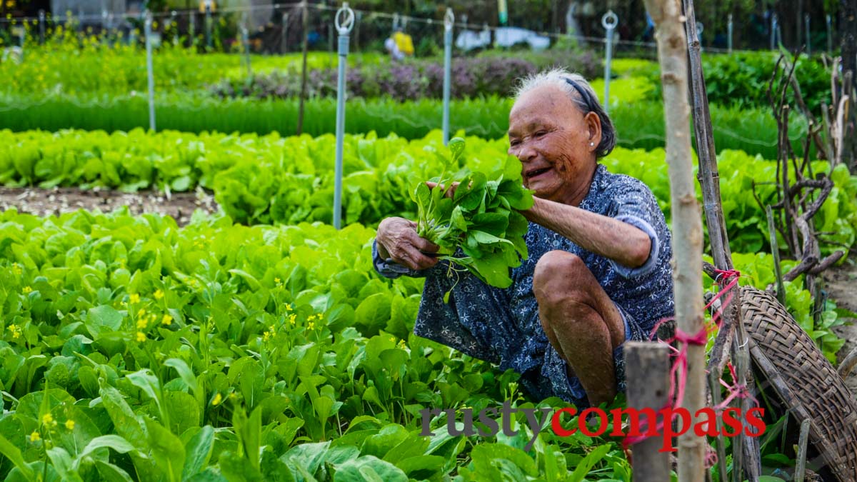 Tra Que Vegetable Garden - Cycling Hoi An