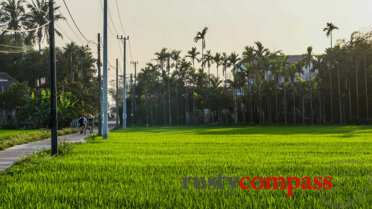 Cycling Hoi An