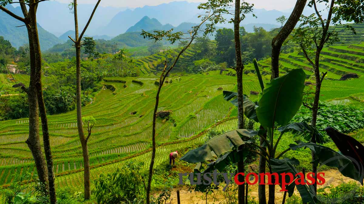 Pu Luong Home Resort Pu Luong Home Resort