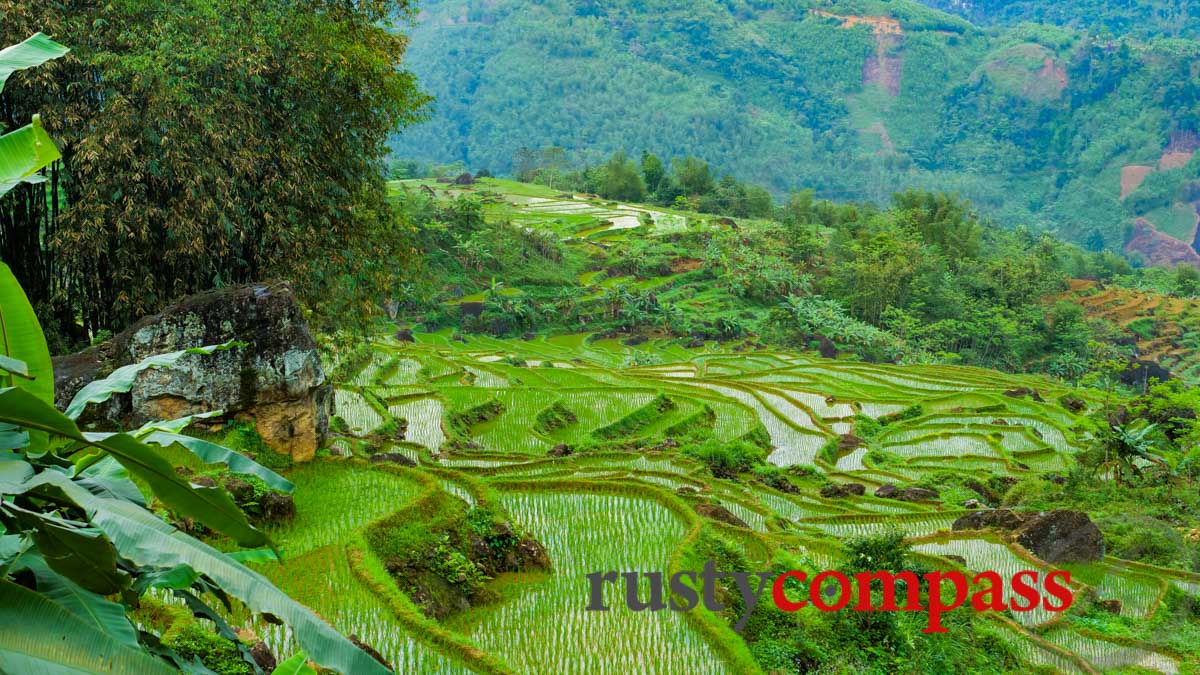 Pu Luong rice terraces - Vietnam