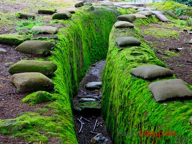 Dien Bien Phu - Trench at Hill A1, known to the French as Eliane 2
