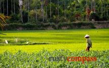 Cam Kim Island, Hoi An