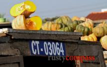 Cai Rang floating market - Can Tho