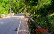 Cycling the Angkor Temples