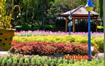 Flower Gardens - Dalat