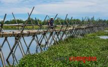 Motorbike tours in Hoi An