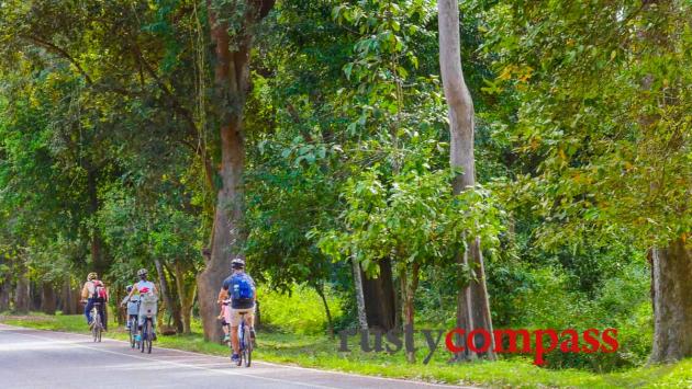 Family cycling Angkor