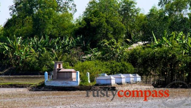 Ancestral graves in the rice fields at Ap Bac.