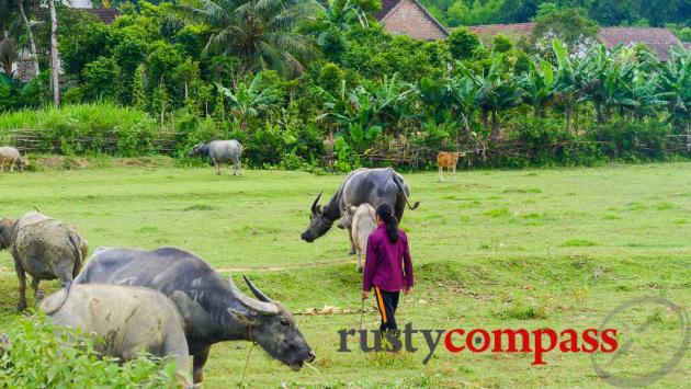 Bong Lai Valley scenes - Phong Nha