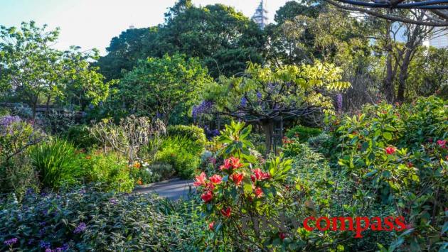 Royal Botanical Gardens Sydney