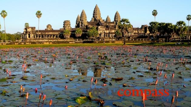 Lotus flowers in the moat that surrounds Angkor Wat