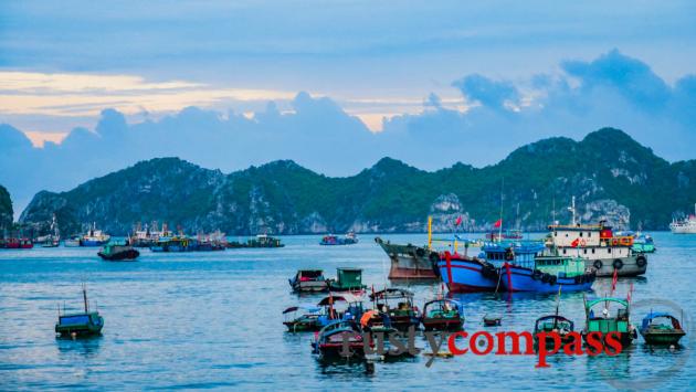 Cat Ba Island's fishing port