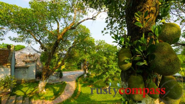 Co Loa Citadel and An Duong Vuong Temple