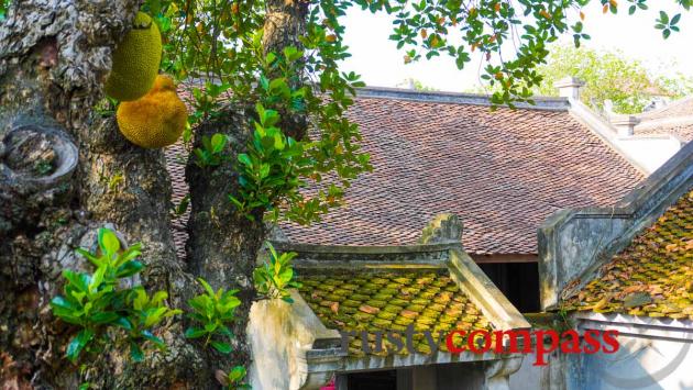 Co Loa Citadel and An Duong Vuong Temple