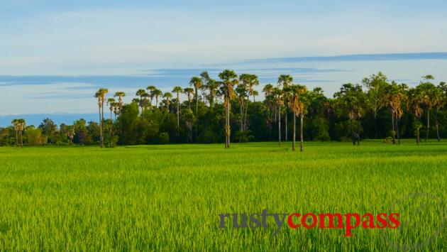 Stunning rural scenes - Cycling beyond the main temples - Angkor Archaelogical Park