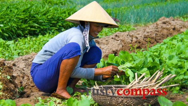 Tra Que vegetable village, Hoi An