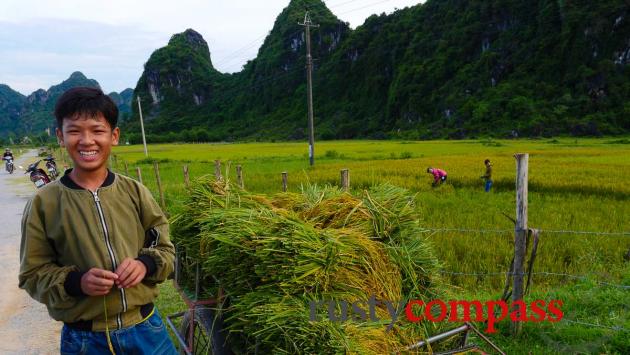 Harvest time - Phong Nha
