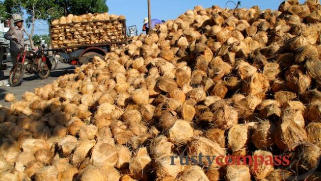 Coconuts abound - Ben Tre riverfront