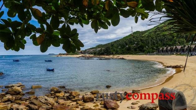 Haven and Big Tree, Quy Nhon