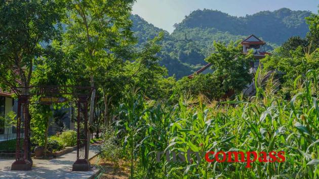 Ho Khanh;s Homestay, Phong Nha