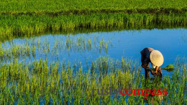 Hoi An cycling in the countryside