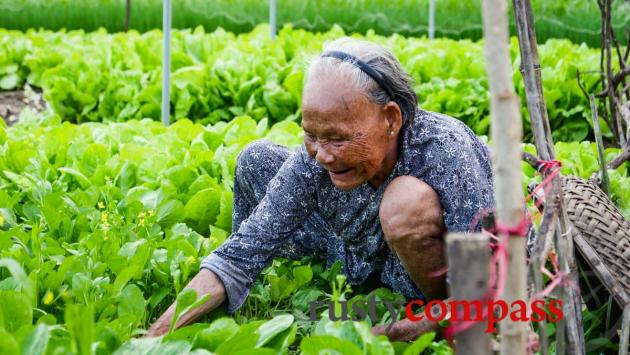 Tra Que Vegetable garden, Hoi An