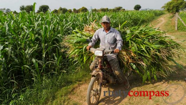 Mekong Islands cycling