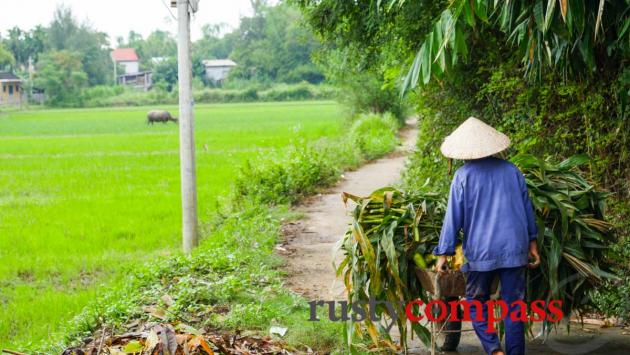 Motorbike tours, Hoi An