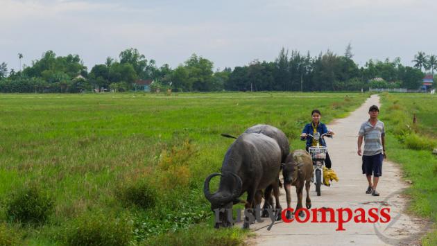 Motorbike touring in the Hoi An countryside - Easy Rider