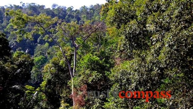 Mount Bokor National Park