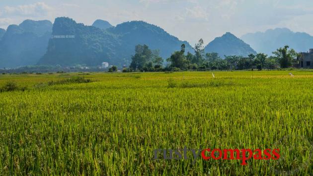 Arriving at Phong Nha Ke Bang National Park