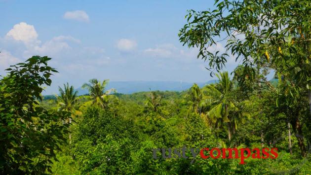 Phu Quoc's forested interior