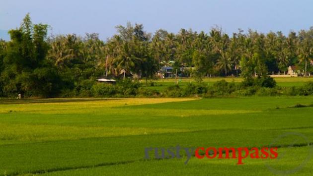 Lush rice paddies outside of Quy Nhon.