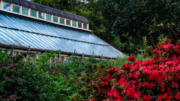 Royal Botanical Gardens, Sydney