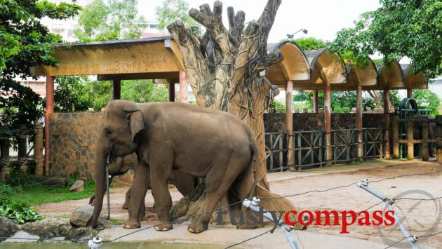 Elephant enclosure, Saigon Zoo and Botanical Gardens