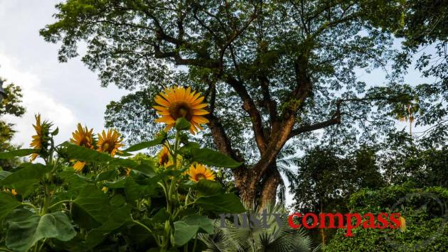 Saigon Zoo and Botanical Gardens