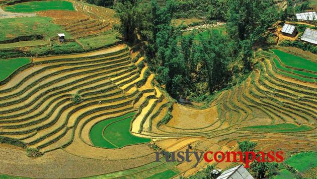 Sapa trekking, Vietnam